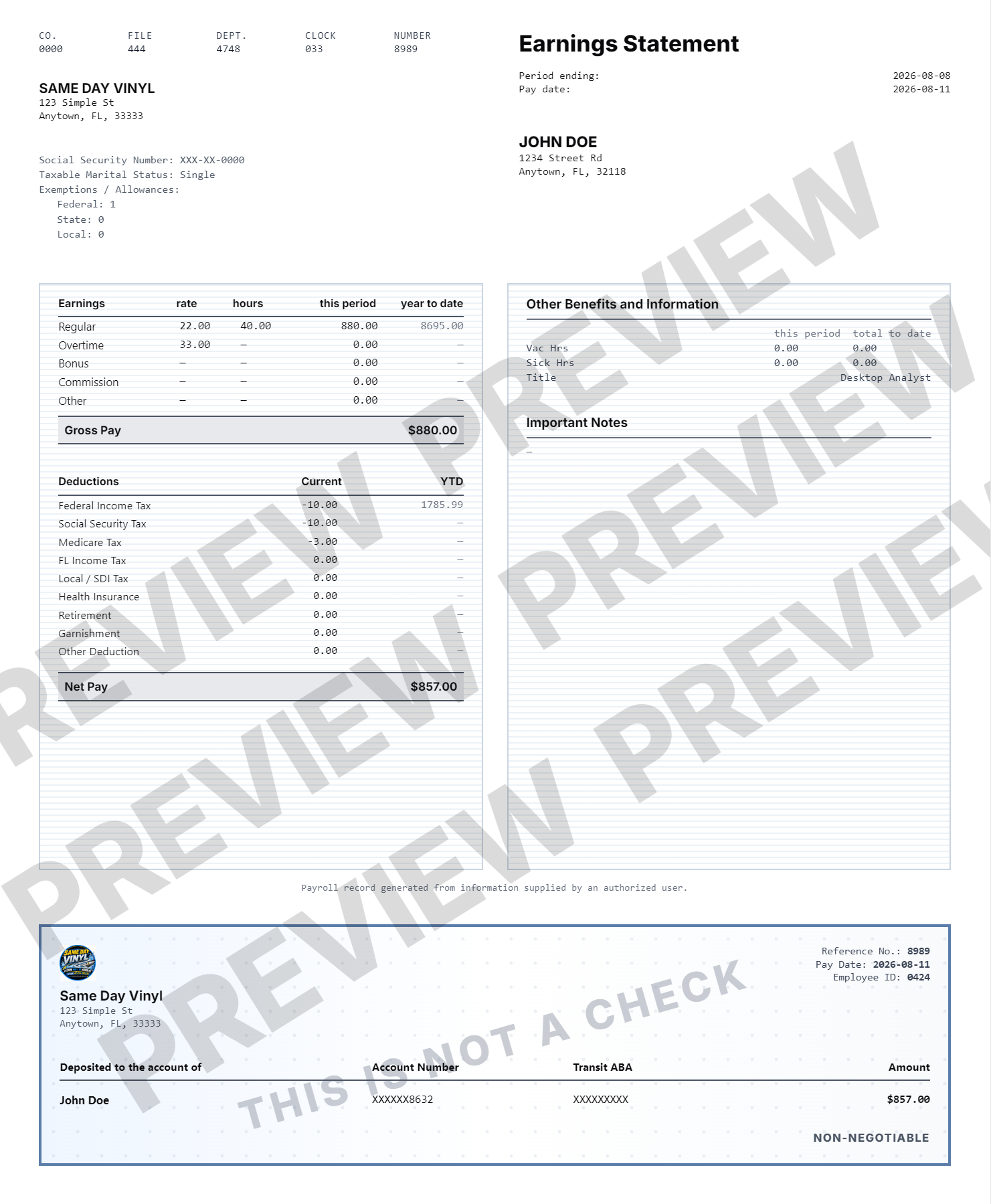 Sample professional pay stub document