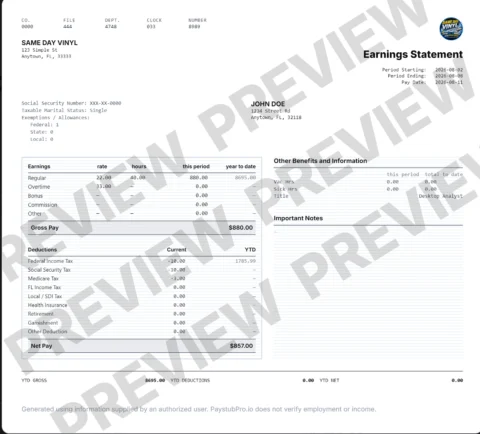 Classic pay stub template sample