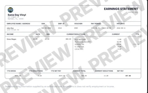 Compact pay stub template sample